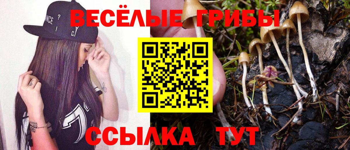Галлюциногенные грибы Psilocybe  Галлюциногенные грибы MAGIC MUSHROOMS  Вход с VPN  Тавда 