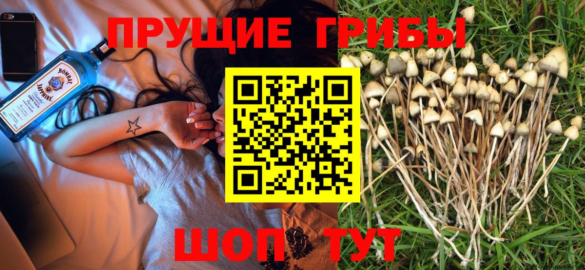 Псилоцибиновые грибы MAGIC MUSHROOMS Тавда